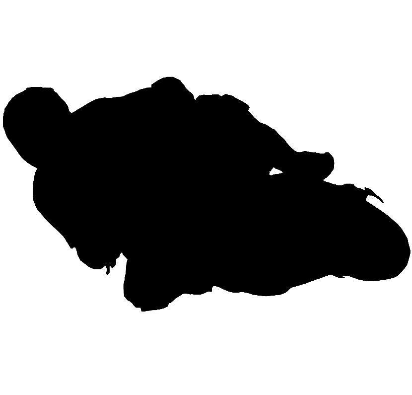 Race